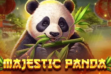 Hình ảnh đa dạng trải nghiệm casino trực tuyến